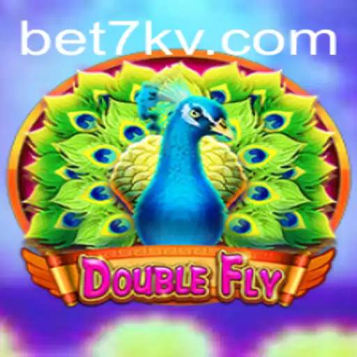 DoubleFly: Navigating Thrilling Adventures in the Skies